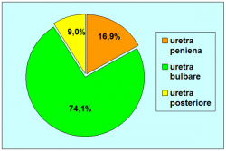 grafico02