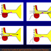 Diapositiva15