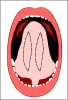mucosa-orale-10
