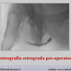 Diapositiva09