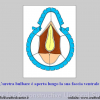 Diapositiva10