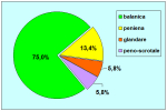 grafico04