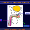 Diapositiva04