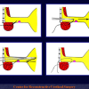 Diapositiva54