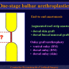 Diapositiva04