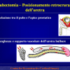 Diapositiva36