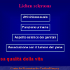 Diapositiva20