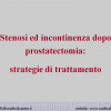 Diapositiva04