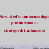 Diapositiva04