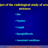 Diapositiva05