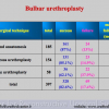 Diapositiva15