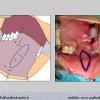 Diapositiva012