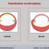 Diapositiva077