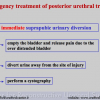 Diapositiva34