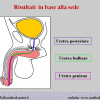 Diapositiva18