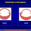 Diapositiva079