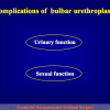 Diapositiva33