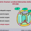 Diapositiva18