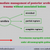 Diapositiva34