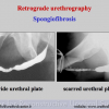 Diapositiva09