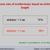 Diapositiva24