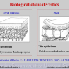 Diapositiva088
