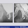 Diapositiva64
