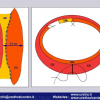 Diapositiva075