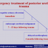 Diapositiva07