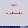Diapositiva17