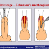 Diapositiva033