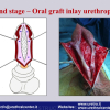 Diapositiva036