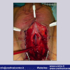 Diapositiva066
