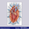 Diapositiva091