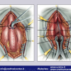 Diapositiva094