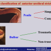 Diapositiva05