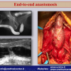 Diapositiva07