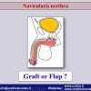 Diapositiva07