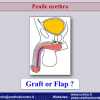 Diapositiva18