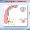 Diapositiva19