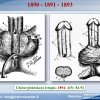 Diapositiva05