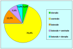 grafico04