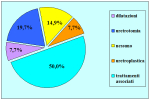 grafico05