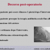 Diapositiva28