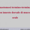 Diapositiva02