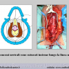 Diapositiva27