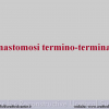 Diapositiva02