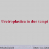 Diapositiva02