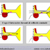 Diapositiva14