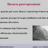 Diapositiva27